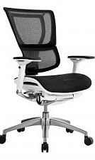 Lioo Executive Chair